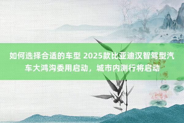 如何选择合适的车型 2025款比亚迪汉智驾型汽车大鸿沟委用启动，城市内测行将启动