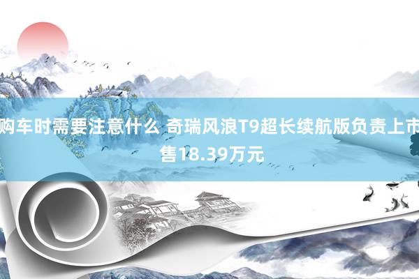 购车时需要注意什么 奇瑞风浪T9超长续航版负责上市 售18.39万元