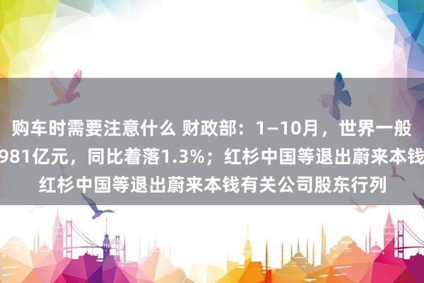 购车时需要注意什么 财政部：1—10月，世界一般群众预算收入184981亿元，同比着落1.3%；红杉中国等退出蔚来本钱有关公司股东行列