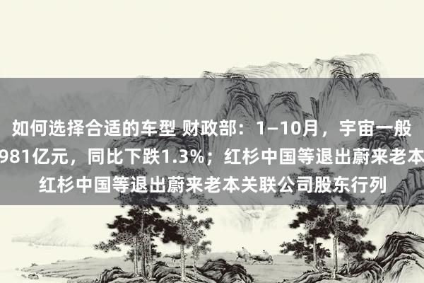 如何选择合适的车型 财政部：1—10月，宇宙一般环球预算收入184981亿元，同比下跌1.3%；红杉中国等退出蔚来老本关联公司股东行列