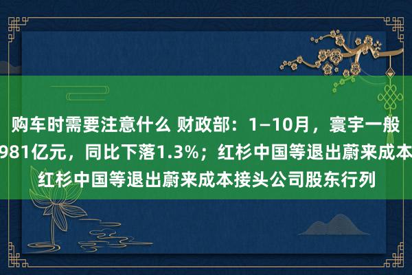 购车时需要注意什么 财政部：1—10月，寰宇一般大家预算收入184981亿元，同比下落1.3%；红杉中国等退出蔚来成本接头公司股东行列