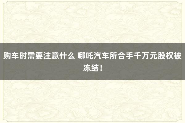 购车时需要注意什么 哪吒汽车所合手千万元股权被冻结！