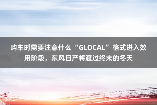 购车时需要注意什么 “GLOCAL” 格式进入效用阶段，东风日产将渡过终末的冬天