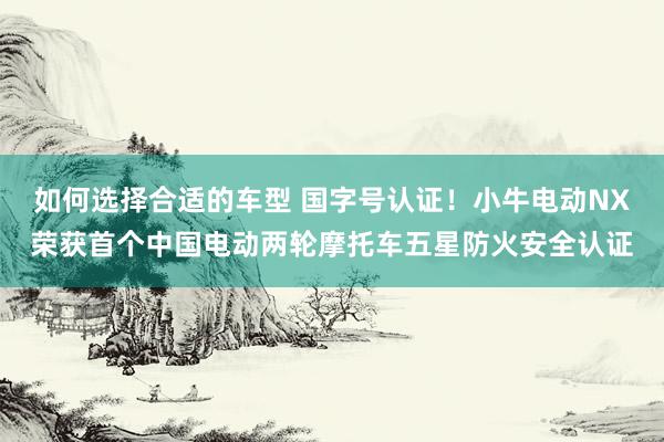 如何选择合适的车型 国字号认证！小牛电动NX荣获首个中国电动两轮摩托车五星防火安全认证