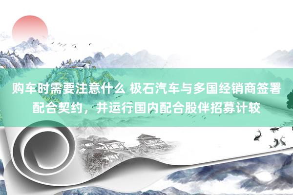 购车时需要注意什么 极石汽车与多国经销商签署配合契约，并运行国内配合股伴招募计较