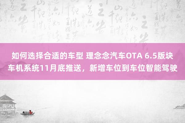 如何选择合适的车型 理念念汽车OTA 6.5版块车机系统11月底推送，新增车位到车位智能驾驶