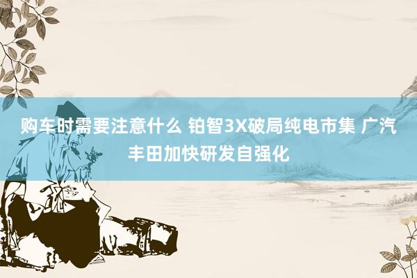 购车时需要注意什么 铂智3X破局纯电市集 广汽丰田加快研发自强化