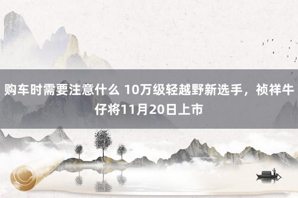 购车时需要注意什么 10万级轻越野新选手，祯祥牛仔将11月20日上市