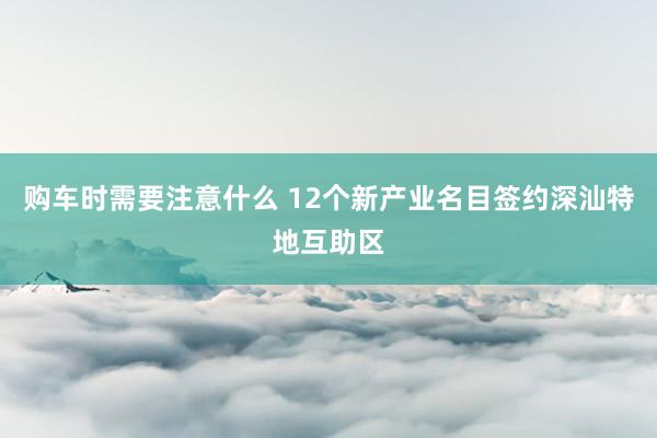 购车时需要注意什么 12个新产业名目签约深汕特地互助区