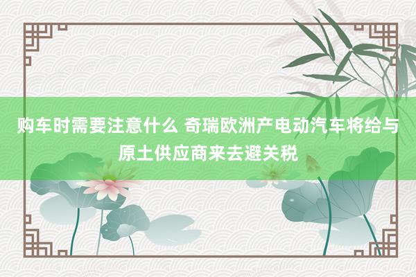 购车时需要注意什么 奇瑞欧洲产电动汽车将给与原土供应商来去避关税