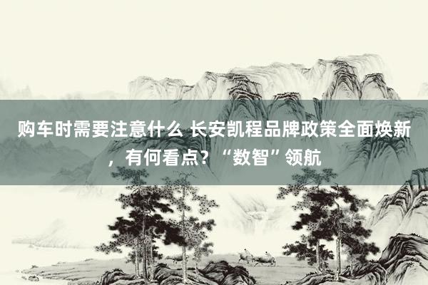 购车时需要注意什么 长安凯程品牌政策全面焕新，有何看点？“数智”领航